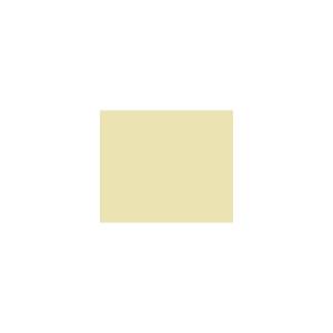Peinture TO-OL010 Y76 Latex Mate Intérieure Adam Materiaux murs et plafonds/ seau 5L