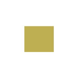 Peinture TO-OL012 Y42 Latex Mate Intérieure Adam Materiaux murs et plafonds/ seau 5L