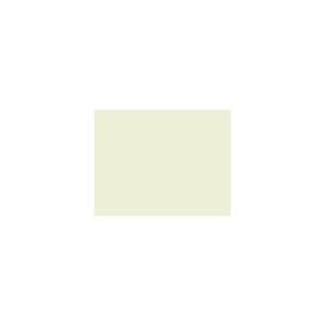 Peinture TO-OL013 Y85 Latex Mate Intérieure Adam Materiaux murs et plafonds/ seau 5L