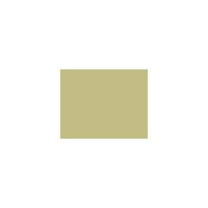 Peinture TO-OL014 Y49 Latex Mate Intérieure Adam Materiaux murs et plafonds/ seau 5L