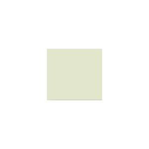 Peinture TO-OL016 Y77 Latex Mate Intérieure Adam Materiaux murs et plafonds/ seau 5L