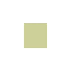 Peinture TO-OL017 Y60 Latex Mate Intérieure Adam Materiaux murs et plafonds/ seau 5L