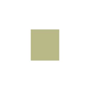 Peinture TO-OL018 Y46 Latex Mate Intérieure Adam Materiaux murs et plafonds/ seau 5L