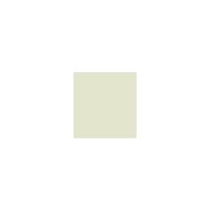 Peinture TO-OL019 Y76 Latex Mate Intérieure Adam Materiaux murs et plafonds/ seau 5L