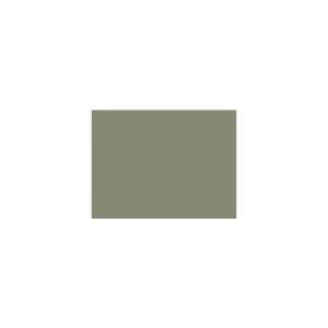 Peinture TO-OL024 Y24 Latex Mate Intérieure Adam Materiaux murs et plafonds/ seau 5L