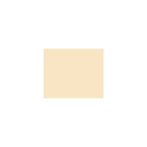 Peinture TO-OR001 Y81 Latex Mate Intérieure Adam Materiaux murs et plafonds/ seau 5L