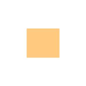 Peinture TO-OR002 Y67 Latex Mate Intérieure Adam Materiaux murs et plafonds/ seau 5L