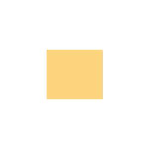 Peinture TO-OR004 Y70 Latex Mate Intérieure Adam Materiaux murs et plafonds/ seau 5L