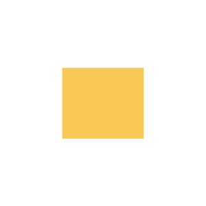 Peinture TO-OR005 Y64 Latex Mate Intérieure Adam Materiaux murs et plafonds/ seau 5L