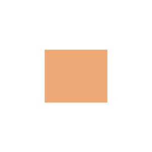 Peinture TO-OR009 Y50 Latex Mate Intérieure Adam Materiaux murs et plafonds/ seau 5L