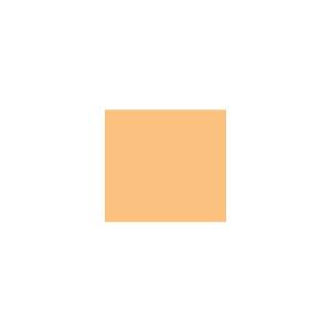 Peinture TO-OR010 Y63 Latex Mate Intérieure Adam Materiaux murs et plafonds/ seau 5L