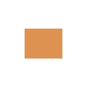 Peinture TO-OR018 Y39 Latex Mate Intérieure Adam Materiaux murs et plafonds/ seau 5L