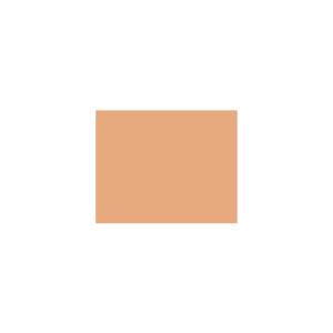 Peinture TO-OR020 Y49 Latex Mate Intérieure Adam Materiaux murs et plafonds/ seau 5L