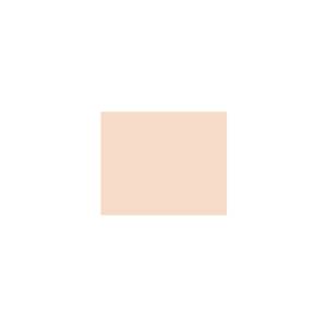Peinture TO-OR022 Y76 Latex Mate Intérieure Adam Materiaux murs et plafonds/ seau 5L