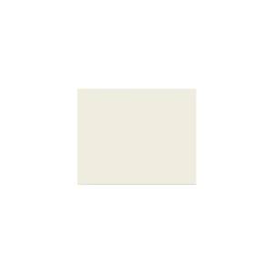 Peinture TO-PA001 Y84 Latex Mate Intérieure Adam Materiaux murs et plafonds/ seau 5L