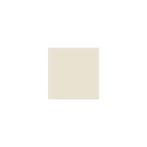 Peinture TO-PA002 Y76 Latex Mate Intérieure Adam Materiaux murs et plafonds/ seau 5L
