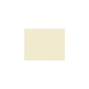 Peinture TO-PA003 Y82 Latex Mate Intérieure Adam Materiaux murs et plafonds/ seau 5L
