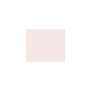 Peinture TO-PA007 Y83 Latex Mate Intérieure Adam Materiaux murs et plafonds/ seau 5L