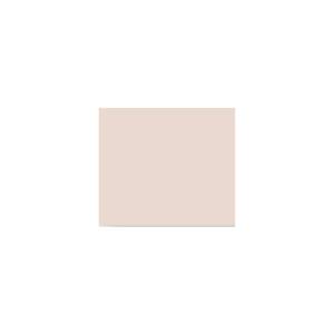 Peinture TO-PA010 Y78 Latex Mate Intérieure Adam Materiaux murs et plafonds/ seau 5L