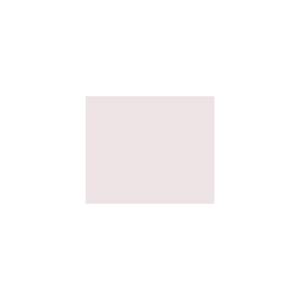 Peinture TO-PA011 Y79 Latex Mate Intérieure Adam Materiaux murs et plafonds/ seau 5L