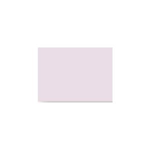 Peinture TO-PA012 Y75 Latex Mate Intérieure Adam Materiaux murs et plafonds/ seau 5L