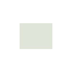 Peinture TO-PA016 Y76 Latex Mate Intérieure Adam Materiaux murs et plafonds/ seau 5L