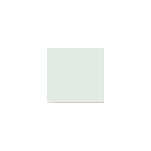 Peinture TO-PA019 Y80 Latex Mate Intérieure Adam Materiaux murs et plafonds/ seau 5L