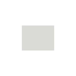 Peinture TO-PA025 Y70 Latex Mate Intérieure Adam Materiaux murs et plafonds/ seau 5L