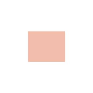 Peinture TO-RE002 Y61 Latex Mate Intérieure Adam Materiaux murs et plafonds/ seau 5L