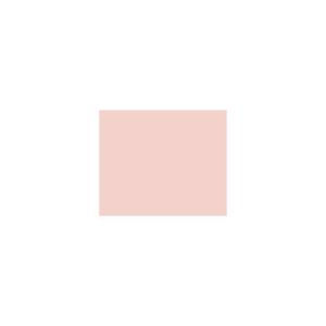 Peinture TO-RE004 Y71 Latex Mate Intérieure Adam Materiaux murs et plafonds/ seau 5L