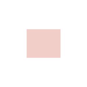 Peinture TO-RE007 Y69 Latex Mate Intérieure Adam Materiaux murs et plafonds/ seau 5L