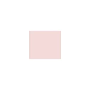 Peinture TO-RE010 Y75 Latex Mate Intérieure Adam Materiaux murs et plafonds/ seau 5L