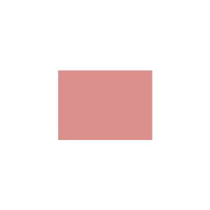 Peinture TO-RE011 Y39 Latex Mate Intérieure Adam Materiaux murs et plafonds/ seau 5L