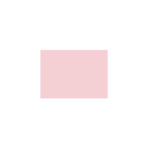 Peinture TO-RE013 Y71 Latex Mate Intérieure Adam Materiaux murs et plafonds/ seau 5L