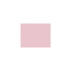 Peinture TO-RE016 Y63 Latex Mate Intérieure Adam Materiaux murs et plafonds/ seau 5L