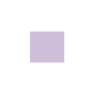Peinture TO-VI004 Y56 Latex Mate Intérieure Adam Materiaux murs et plafonds/ seau 5L