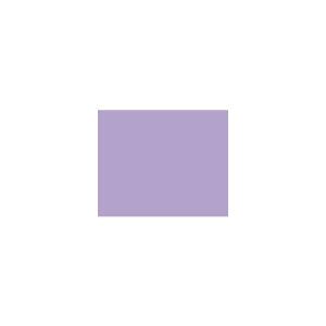 Peinture TO-VI005 Y41 Latex Mate Intérieure Adam Materiaux murs et plafonds/ seau 5L