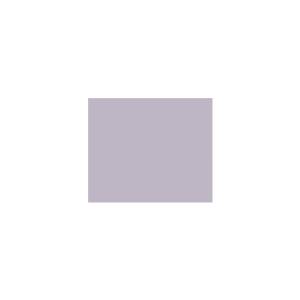 Peinture TO-VI007 Y49 Latex Mate Intérieure Adam Materiaux murs et plafonds/ seau 5L