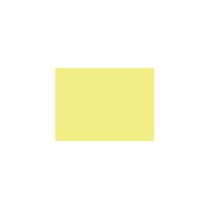 Peinture TO-YE002 Y81 Latex Mate Intérieure Adam Materiaux murs et plafonds/ seau 5L
