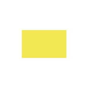 Peinture TO-YE003 Y77 Latex Mate Intérieure Adam Materiaux murs et plafonds/ seau 5L