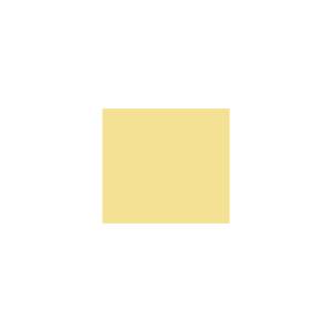 Peinture TO-YE005 Y76 Latex Mate Intérieure Adam Materiaux murs et plafonds/ seau 5L