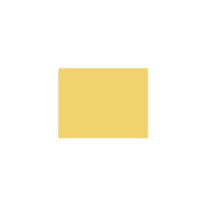 Peinture TO-YE006 Y67 Latex Mate Intérieure Adam Materiaux murs et plafonds/ seau 5L