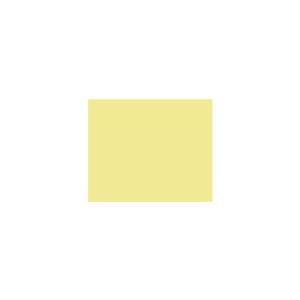 Peinture TO-YE007 Y79 Latex Mate Intérieure Adam Materiaux murs et plafonds/ seau 5L