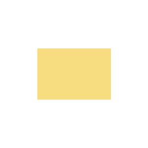Peinture TO-YE008 Y74 Latex Mate Intérieure Adam Materiaux murs et plafonds/ seau 5L