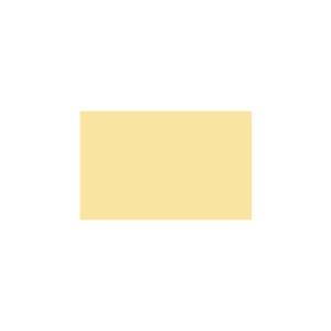 Peinture TO-YE013 Y79 Latex Mate Intérieure Adam Materiaux murs et plafonds/ seau 5L
