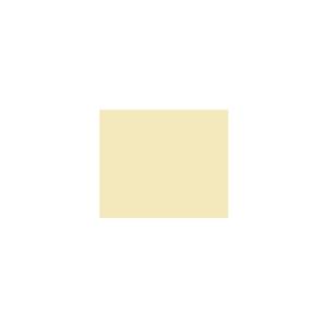 Peinture TO-YE016 Y81 Latex Mate Intérieure Adam Materiaux murs et plafonds/ seau 5L