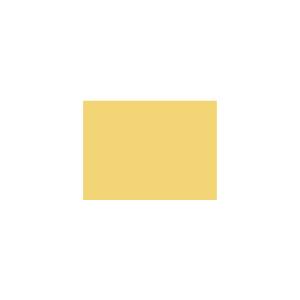 Peinture TO-YE017 Y69 Latex Mate Intérieure Adam Materiaux murs et plafonds/ seau 5L