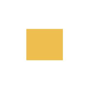 Peinture TO-YE021 Y58 Latex Mate Intérieure Adam Materiaux murs et plafonds/ seau 5L