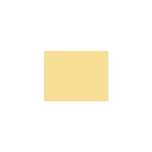 Peinture TO-YE022 Y75 Latex Mate Intérieure Adam Materiaux murs et plafonds/ seau 5L