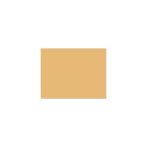 Peinture TO-YE024 Y54 Latex Mate Intérieure Adam Materiaux murs et plafonds/ seau 5L